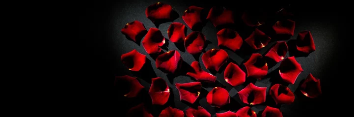 Photo sur Plexiglas Roses Scattered red rose petals
