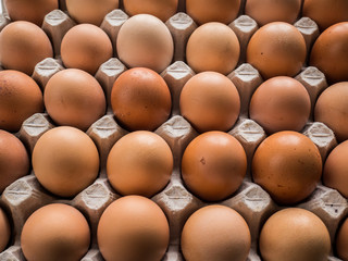 a lot of Eggs in the package.