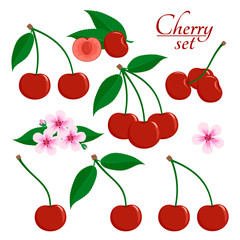 Ripe cherry with green leaves, cut cherry, sakura flower