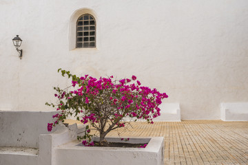 Teguise town, Lanzarote, Canary islands, Spain 
