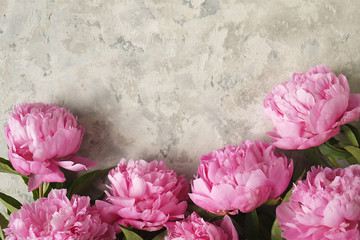 Composition with beautiful peony flowers on grey textured background © Evrymmnt