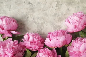 Composition with beautiful peony flowers on grey textured background