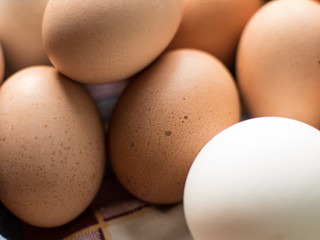 eggs in cardboard cells. close-up.
