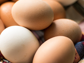 eggs in cardboard cells. close-up.