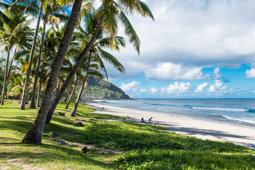 Plage, île, cocotiers