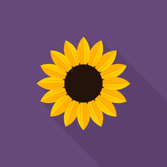 Sunflower icon with long shadow on purple background, flat design style