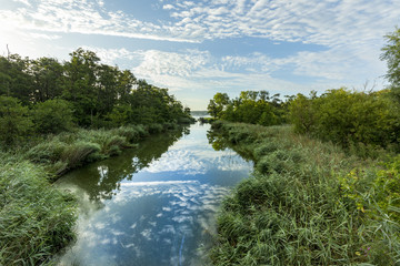 Fototapeta na wymiar small creek flows in backwater lake of baltic sea in Pudagla