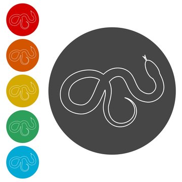 Reptile snake flat icon for animal apps 