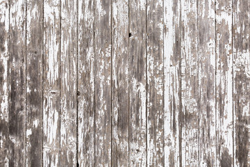 Rustic White Wood Barn Door