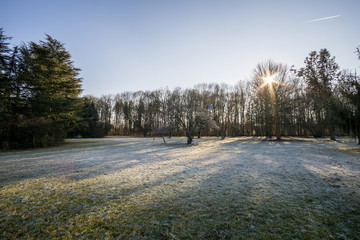 Forstbotanischer Garten
