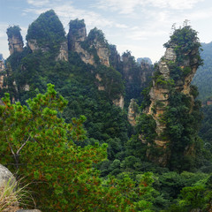 Fototapeta na wymiar view of limestone cliff in Zhangjiajie national park, hunan,China