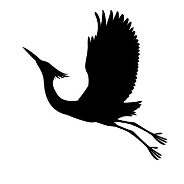 white heron vector illustration  black silhouette profile