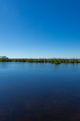 USA, Florida, Everglades river landscape with green sawgrass area behind