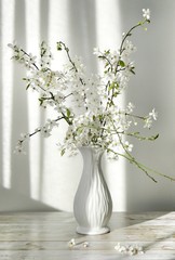 Bouquet of cherry blossoms in a white vase on a white background