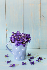 Beautiful bouquet of field violets in a small vase with dots and purple ribbon 