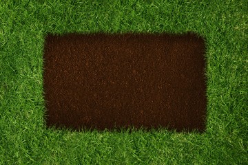 Brown square inside green grass