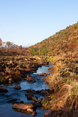 River at South African Bush