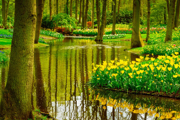 spring garden Keukenhof, Netherlands