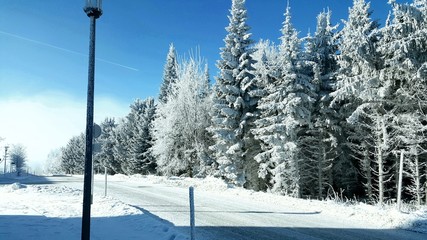 Obraz premium Winterwunderland 