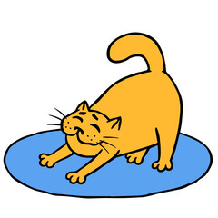 Drowsy cute orange cat does morning exercises on rug. Vector illustration