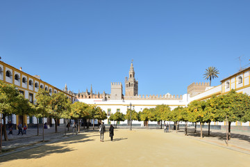 Plaza Patio de Banderas (Sevilla, Spain) - obrazy, fototapety, plakaty