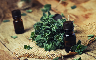 Organic essential oregano oil in a glass jar and a bunch of fresh marjoram, vintage wooden background, selective focus