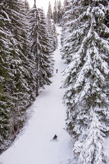Pista de esqui en Pamporovo, Bulgaria