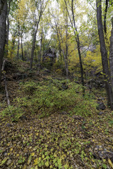 Abelman's Gorge