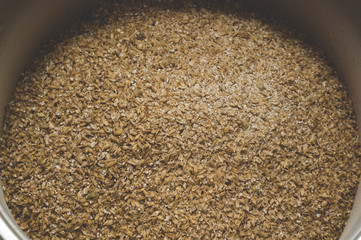 Grinded grains of barley malt close-up. Craft beer brewing from grain barley pale malt in process. Ale or lager from pilsner malt.