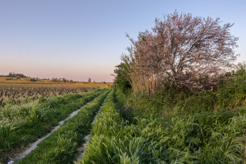 Obraz premium Paysage de campagne très coloré