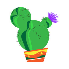 Isolated cactus icon