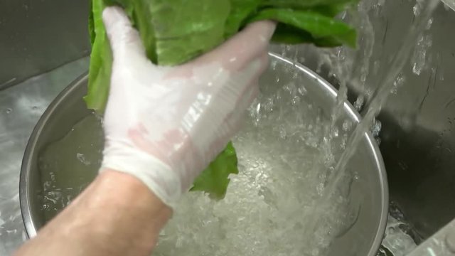 Fresh lettuce leaves and water. Hands washing vegetable, slow-mo.