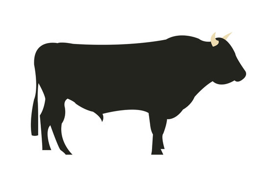 Wagyu Chilean bull silhouette