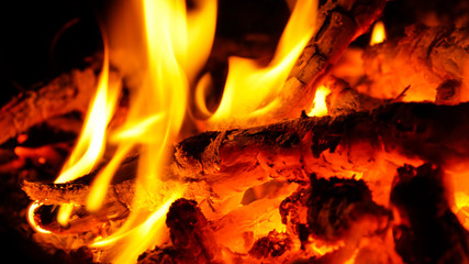 Burning wood in a campfire.