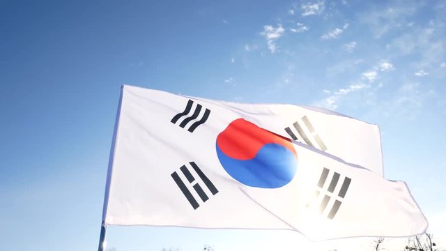 Flag of South Korea fluttering against the sky