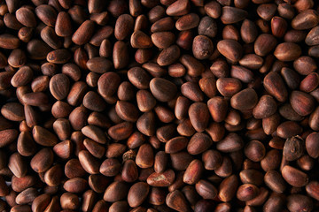 Ripe cedar pine nuts texture background