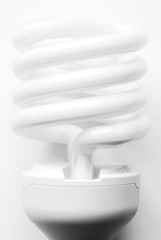 Energy saving light bulb isolated on white