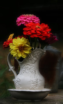 Zinnias in a pitcher