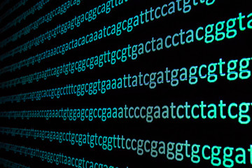 Sequencing the genome.