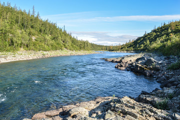 Fototapeta na wymiar River rapids in the Polar Urals.