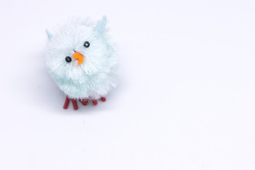 blue chick looking up on a white background, isolated