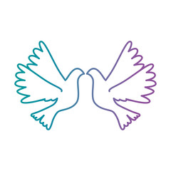 doves flying isolated icon vector illustration design