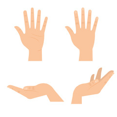 hands human symbols icons vector illustration design