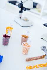 Chemical Laboratory of the Food supply . Food in laboratory, dna