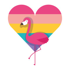 flamingo and heart love with color rainbow vector illustration