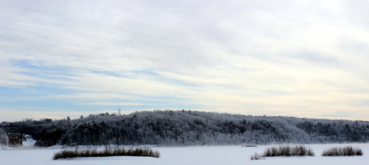 Fototapeta na wymiar River shore in winter