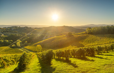 Panoramic view of countryside and chianti vineyards from San Gimignano. Tuscany, Italy - obrazy, fototapety, plakaty