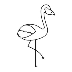 flamingo bird exotic animal image vector illustration outline design
