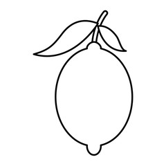 fresh citrus fruits whole and leaves lemon vector illustration outline design