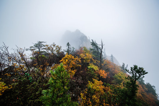 Rain Mt. Seorak Gongryong